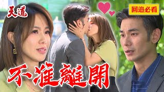 一場車禍加速戀情！母單博士擊破車窗換來真愛之吻｜天道 EP270 精華