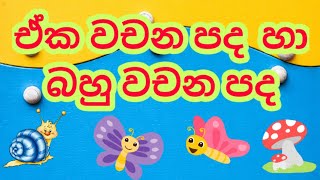 ඒක වචන පද හා බහු වචන පද