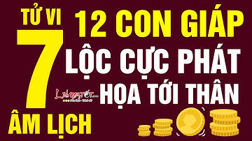 Tử Vi Tháng 7 Âm Lịch Năm 2019 Ai Tài Lộc Cực Phát Ai Đề Phòng Họa Tới Thân - Tử vi 12 con giáp