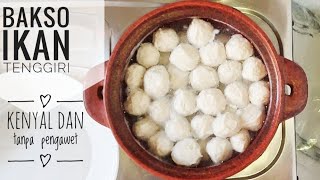 HOW TO MAKE MACKEREL FISH MEATBALLS USING ONLY A BLENDER