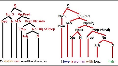 English Grammar:Tree Diagrams(1)-Simple Sentences in English