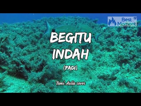 BEGITU INDAH   PADI REBORN Lyrics Video Lirik Lagu Musik Terbaru  Tami Aulia acoustic cover