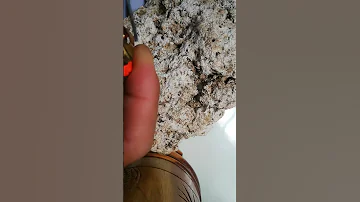 White Ambergris 