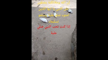تلاوة خاشعة تريح القلوب أن اللة وملائكتة يصلون على النبي يا ايها الذين امنوء صلو علية وسلمو تسليماء