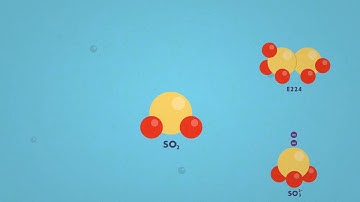 Science in 1 minute: how do sulphites act?