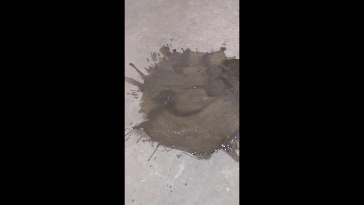 Chicago Sewage Cleanup