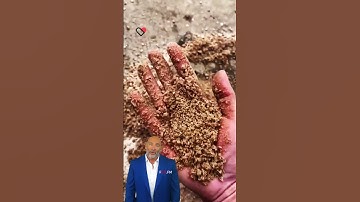 #fcnfm How to Optimize Your Stone Crusher for Maximum Efficiency