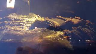 Pirates Of The Caribbean 4 - Capturing A Mermaid