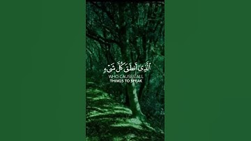 وقالوا لجلودهم لم شهدتم علينا #تلاوة_خاشعة #رعد_الكردي