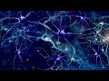 Inteligencia: Música para Memoria, Mejora el Enfoque y la Concentración con tonos Isocrónicos.
