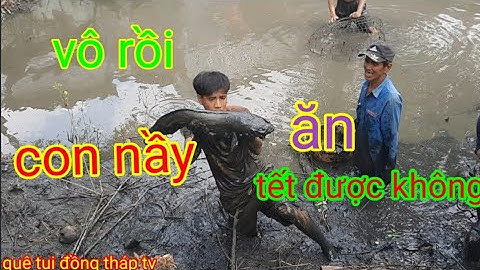 tát ao bắt cá ăn tết