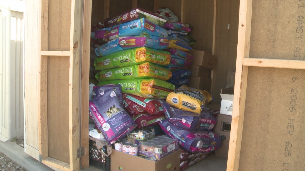 Animal shelter receives food donations after theft