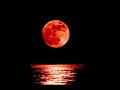 Atom Music Audio Red Moon mp3
