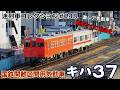 「迷列車コレクション#248」5両だけの異端気動車?キハ37のお話「迷列車で行こう#248」