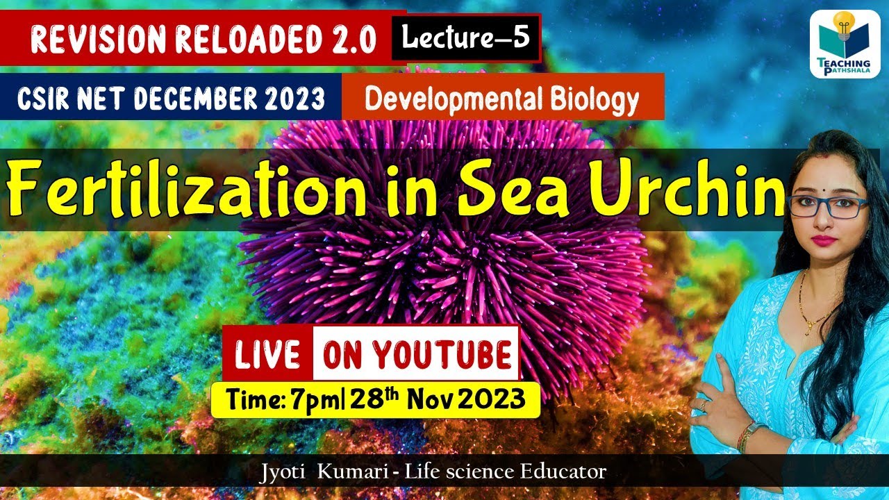 Revision Reloaded 2.0 | Fertilization in Sea Urchin | CSIR Dec 2023 | Lecture 5