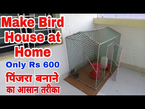 वीडियो: कैसे एक पक्षी पिंजरा बनाने के लिए: 12 कदम (चित्रों के साथ)
