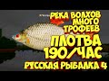 русская рыбалка 4 - Плотва река Волхов - рр4 фарм Алексей Майоров russian fishing 4