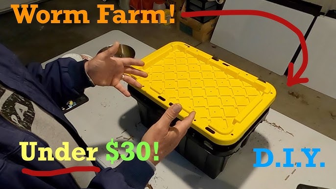 DIY Worm Farm For Fish Bait 