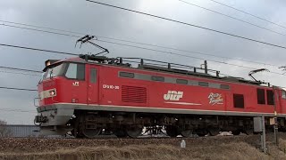 レッドサンダーEF510-20牽引高速貨物3097レ 岡山→吹田→新潟