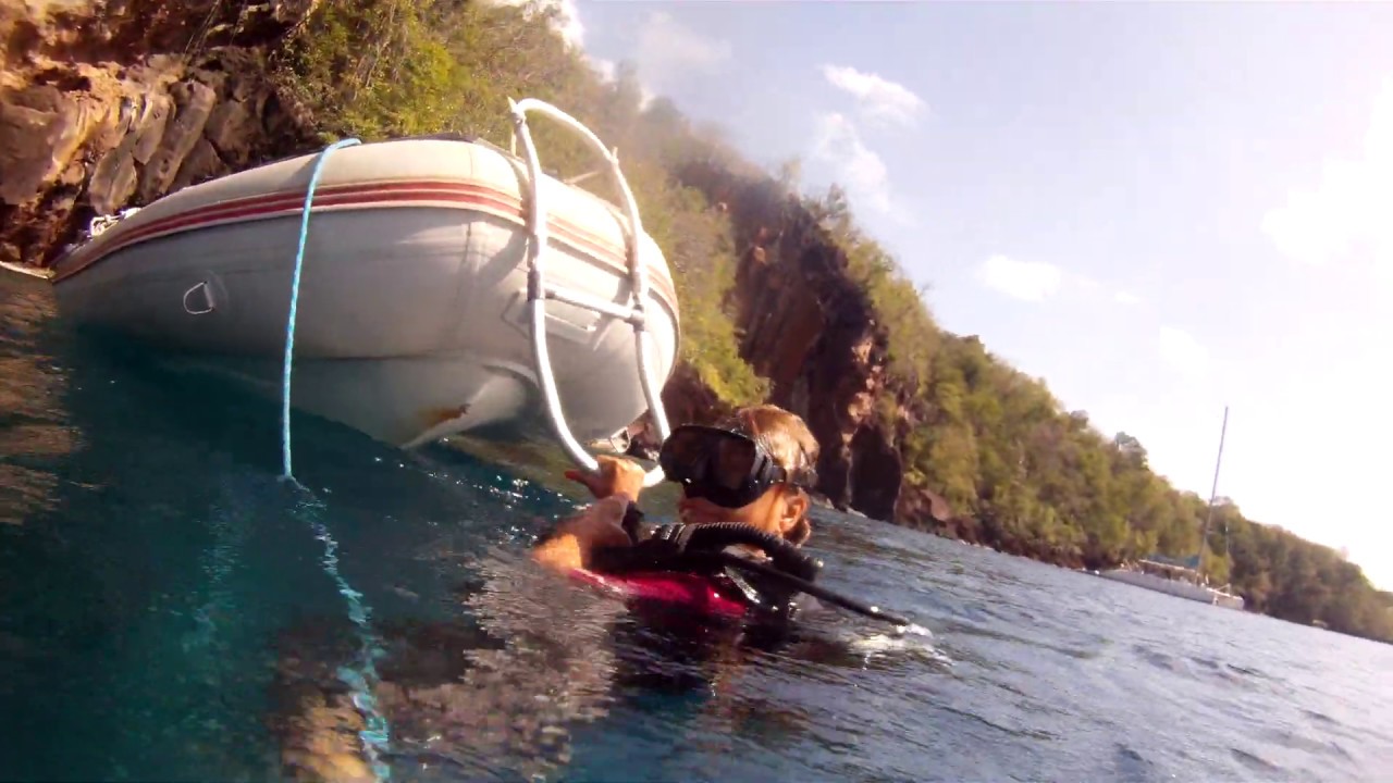 Diving in Martinique YouTube