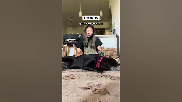 spend my dog’s last day with me