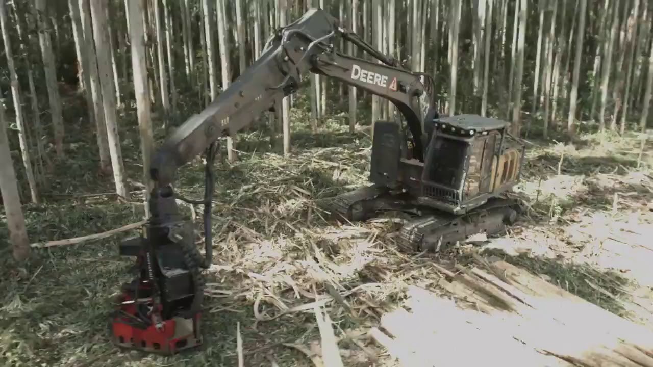 Processamento de Madeira - Waratah H215E | Moviter