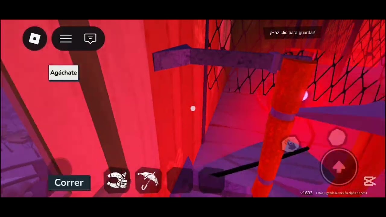 Primer video de 2026