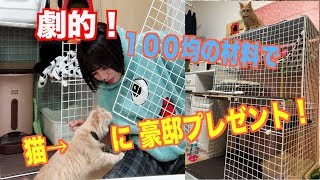 【DIY】100均の材料で猫のケージを作る！