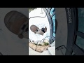 Insta360 One X Skateboarding Over The Camera