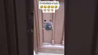 🤣 #humor #comedia #viral #foryou #memes #memesbrasil #explorar #pravoce #shorts #funny #shortsvideo