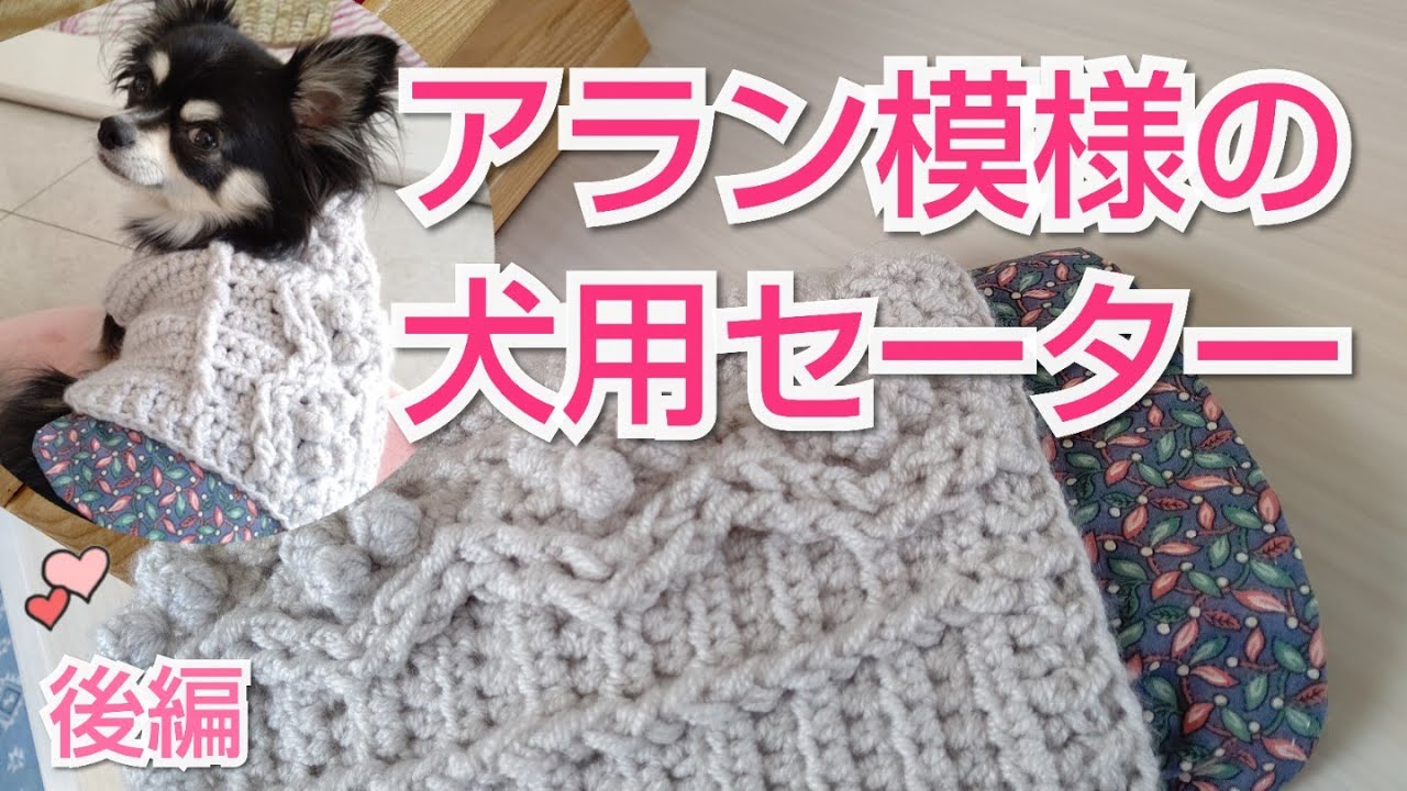かぎ針犬用セーター アラン模様風の犬のセーターを編んでみました 前編 Youtube