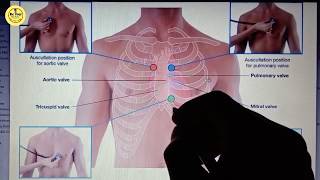 Auscultation Of Heart Sounds In Hindi // Heart Sounds Area Points