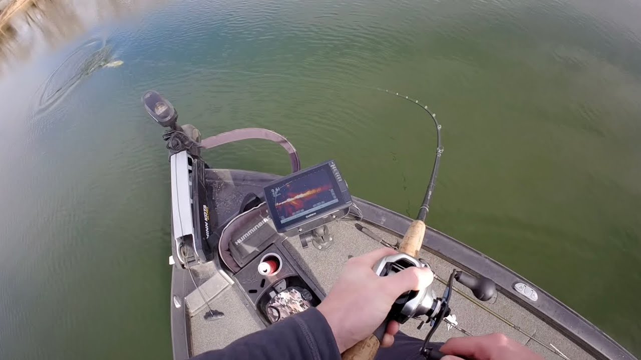 Catching Big Bass on Big Baits! (GIANT)