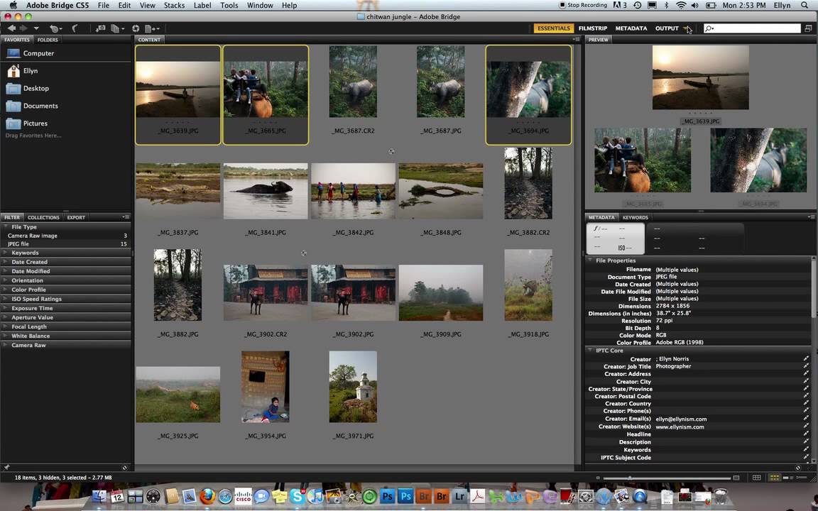 edit file details in adobe bridge edit file details in adobe bridge