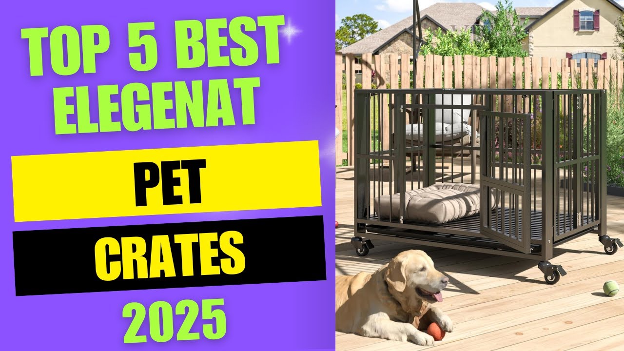 Top 5 Elegant Pet Crates 2025