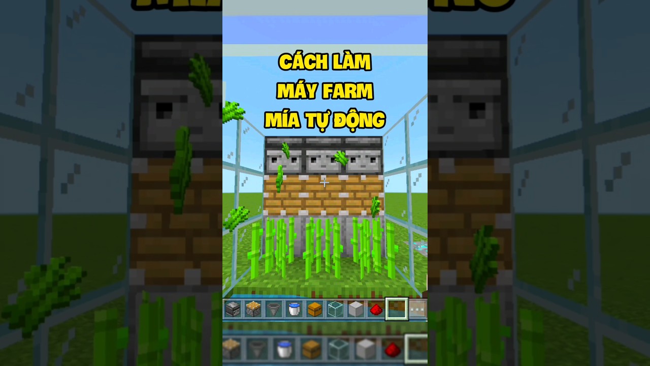 Máy Farm Mía Tự Động 