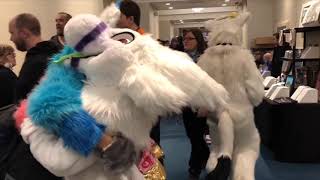 Furpocalypse 2018