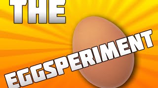 Celebrity A SIMPLE & INTERESTING EGGSPERIMENT ! Net Worth