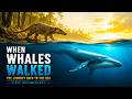 When Whales Walked: The Journey Back to the Sea | Sleep Documentary