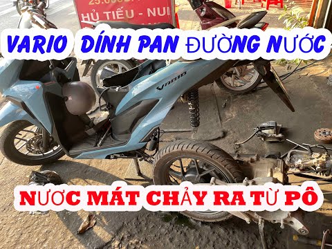 #398# NGUYÊN NHÂN VARIO HAO NƯỚC BẤT THƯỜNG,NƯỚC MÁT CHẢY RA TỪ LỖ THOÁT NƯỚC CỦA PÔ