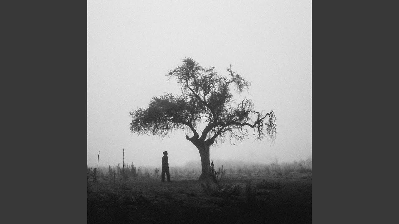 Noor in the Silence
