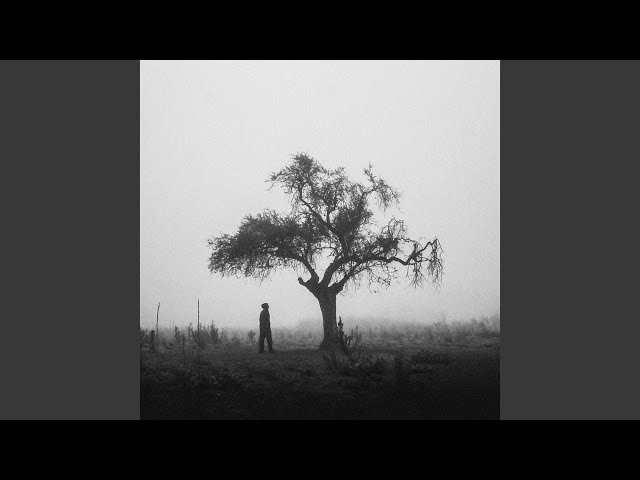 Noor in the Silence