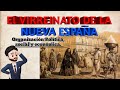 El virreinato de la nueva espaa   organizacin poltica social y econmica