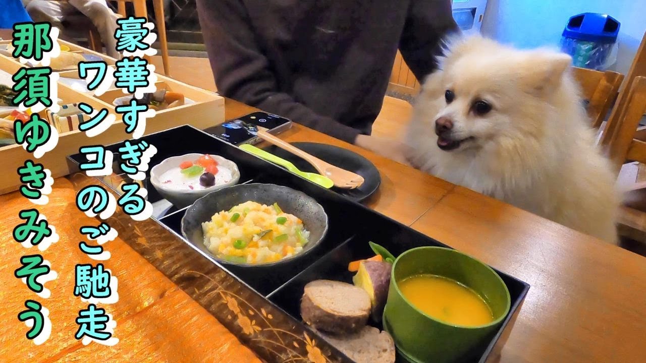 【犬と那須観光】1日2組限定のペット専用温泉旅館、那須ゆきみそう。とてつもなく豪華なペット料理に舌鼓を打つムツオ。。晩秋の那須でのんびり過ごす、ムツオとの旅の日記の１ページ。【那須編】