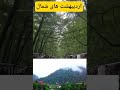 #iran #music #شمال