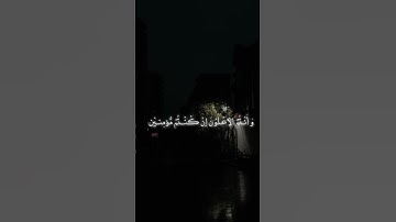 وَلا تَهِنوا وَلا تَحزَنوا وَأَنتُمُ الأَعلَونَ | محمد صديق المنشاوي | سورة آل عمران#المنشاوي #قرآن