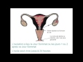 La méthode de l'ovulation Billings [Vidéo formation]