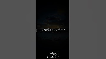 ودخل المدينة على حين غفلة من أهلها سورة القصص الشيخ ياسر الدوسري
