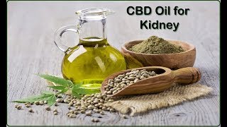CBD Oil for Kidney severe condition