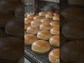 🍔 Amazing Burger Factory Tour | Burger Kaise Banta Hai? #BurgerMaking #BurgerProduction #FactoryTour